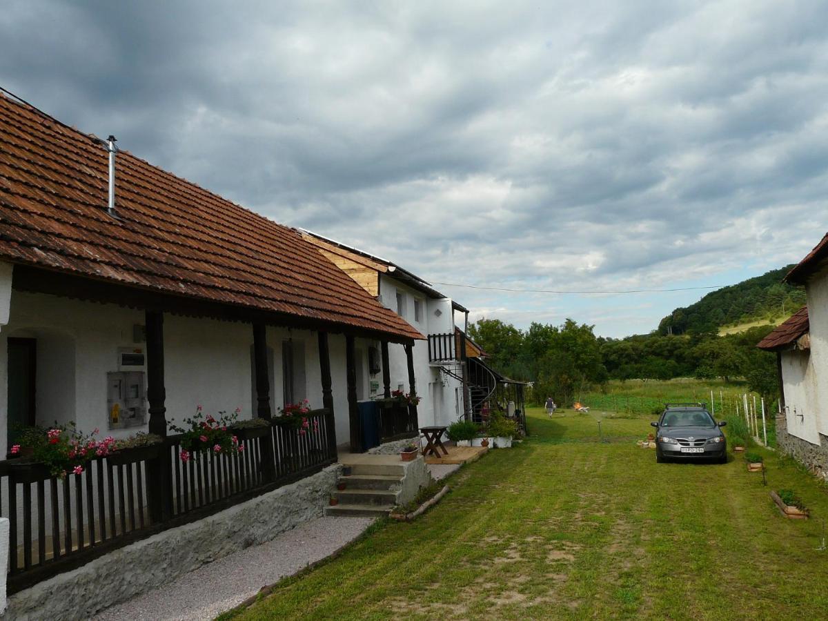 Mi-Ri Balance Vendeghaz Hotel Szinpetri Exterior photo